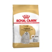 Croquettes Bichon Maltais Adulte 500 g de Royal Canin