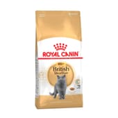 Ração Gato British Shorthair Adulto 2 Kg da Royal Canin