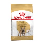 Ração Bulldog Francês Adulto 3 Kg da Royal Canin