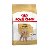 Ração Caniche Adulto 1,5 Kg da Royal Canin
