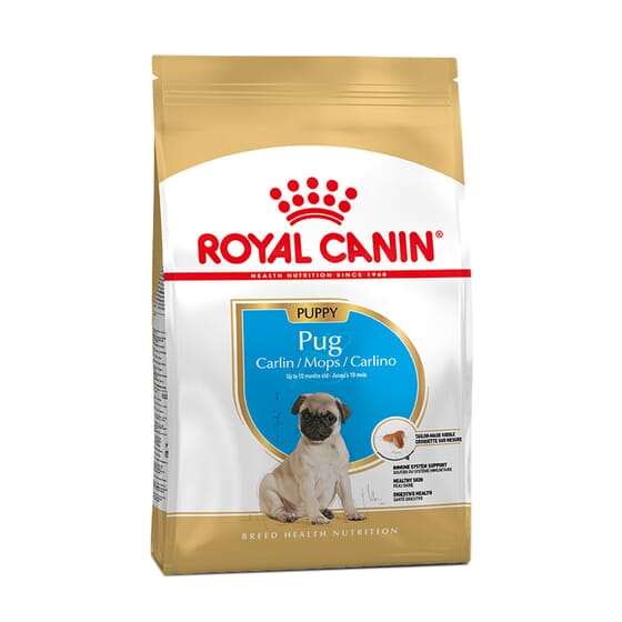 Ração Carlino Adulto 3 Kg da Royal Canin