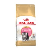 Croquettes Chat Persan Petit 10 kg de Royal Canin
