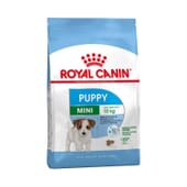 Croquettes Chien Puppy & Junior Petite Taille 800 g de Royal Canin