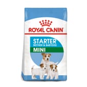 Ração Cachorro Raças Pequenas Starter Mother & Babydog 8,5 Kg da Royal Canin