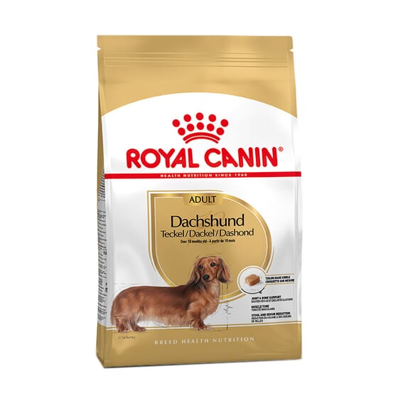Ração Dachshund Adulto 1,5 Kg da Royal Canin