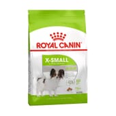 Ração Cão Adulto Raças Muito Pequenas Frango 500g da Royal Canin