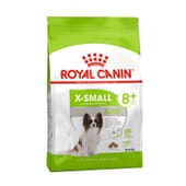 Ração Cão Adulto +8 anos Raças Muito Pequenas 1,5 Kg da Royal Canin