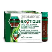 EXOTIQUE 20 x 11ml - MARNYS
