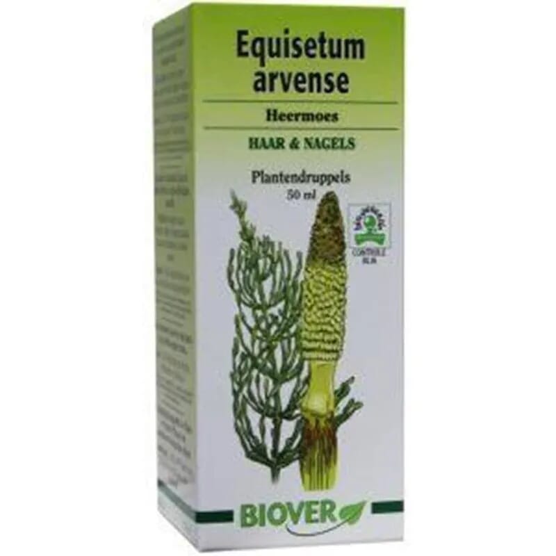 Equisetum Arvense Cauda De Cavalo 50 ml
