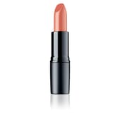 Perfect Mat Lipstick #193 Warm Nude 4g