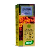 Sana Flor Harpagophytum 70 Comprimés - Santiveri | Nutritienda