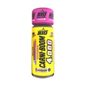 l-carnitine 3000mg Para qué sirve la carnitina?| Blog | SPN