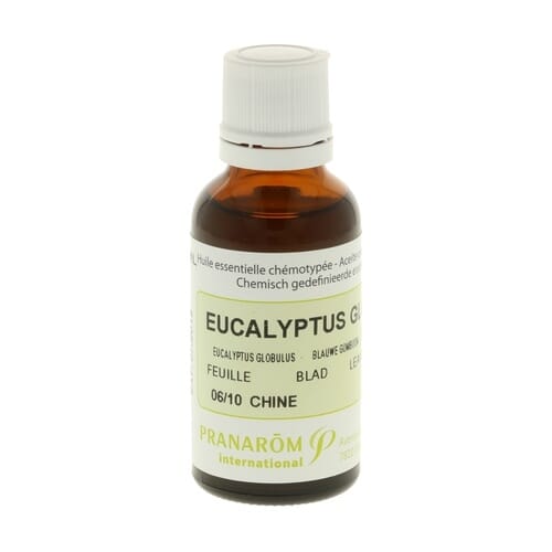 Eucalipto Folhas Bio  