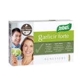 Garlicir Forte 40 Gélules de Santiveri