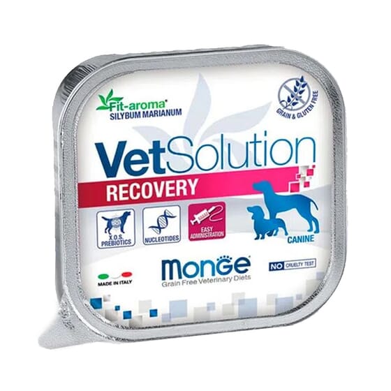 Recovery Dog 150g von Monge Vet Solution