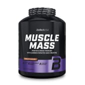 Muscle Mass 4000g de Biotech USA