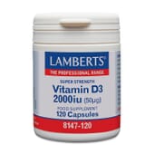 Vitamina D3 2000 IU 120 Caps da Lamberts
