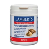 Ashwagandha 6000 mg 60 Gélules de Lamberts