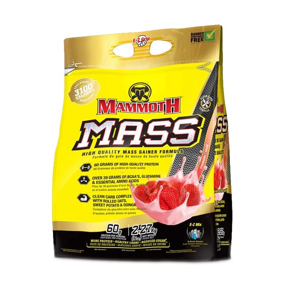 Mammoth Mass 2.27 Kg de Interactive nutrition